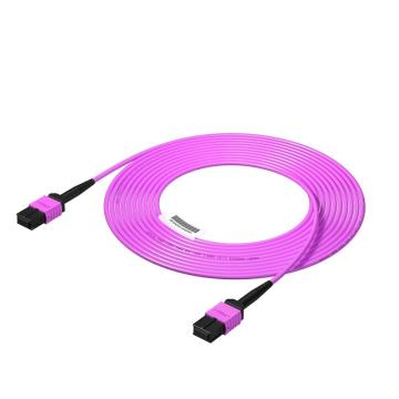 FIBERHOME/烽火 MPO-MPO光纤跳线 多模OM4母头 ,24芯MPO-MPO-40M