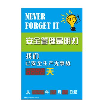 SAFEWARE/安赛瑞 安全生产天数纪录牌-安全管理是明灯，LED自动数显，600×900mm，30108