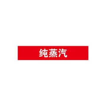 SAFEWARE/安赛瑞 管道标识-纯蒸汽，自粘性乙烯表面覆膜，红底白字，25×125mm，14961，10张/包