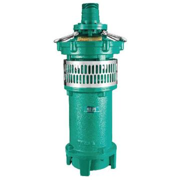 XIN JIE/新界 QY型充油式小型潜水泵，QY160-8-5.5Z3，软管连接