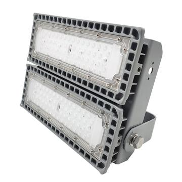 日昇之光 LED泛光灯，RGFL236,100W,白光，单位：个