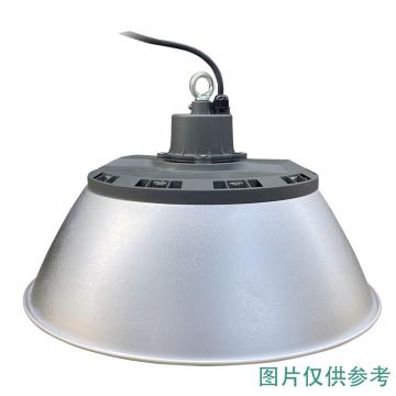 亚牌 LED工矿灯，幻系列，GC109-200DV23A-5000K890DPXJ，200W，白光，含吊环不含灯罩，单位：个