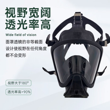 MSA 全面罩,UE,自吸过滤式,销售单元 10161050