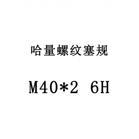 links/哈量 螺纹环塞规 924 M40*2 6H 不含第三方检测