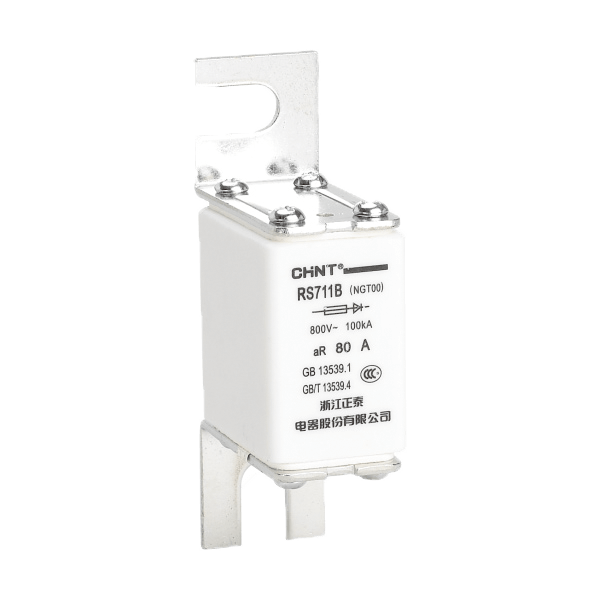 CHINT/正泰 RS71(NGT) 快速熔断器 RS711(NGT1)100A （直流 800V）