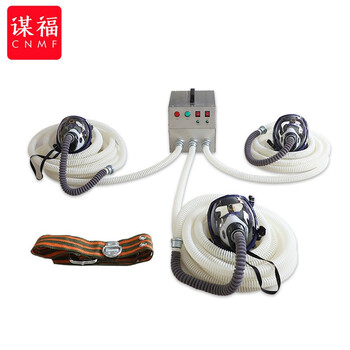 CNMF/谋福 199工业EX防爆长管呼吸器防毒面罩防尘面具 便携式送风机三人电动强制送风空气呼吸器 三人10米防爆款 100008368283