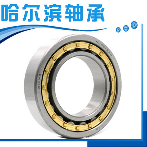 HRB/哈轴圆柱滚子轴承RN307M /TY