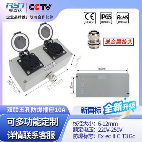 RUIYIDA/瑞亦达 插座 防爆插座 五孔10A双联
