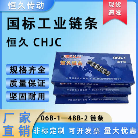 CHJC/恒久标准滚子链条B系列单排 08B-1×120L 长1.524m/TY