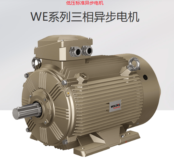 卧龙 三相电动机 WE3-90L-4-1.5kw，安装方式-卧式，IP55