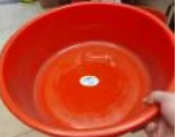 肥猫 脸盆 红色直径35cm