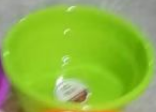 樂佰仕 脸盆 绿色直径35cm