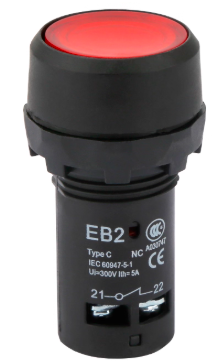 源煌科技 带灯按钮开关 红色，AC220V, 常开