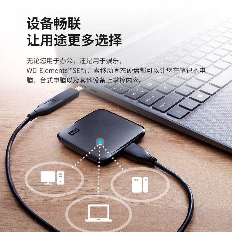 WD/西部数据1TB 移动固态硬盘WDBAYN0010BBK