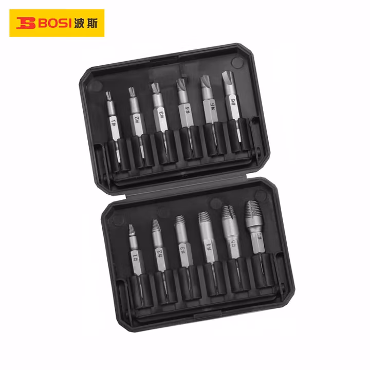 BOSI/波斯 机用断螺丝取出器12pcs BS522012