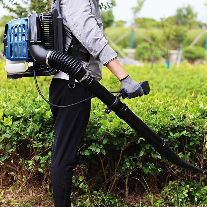 DONGCHENG/东成 汽油吹风机 FF-CF20