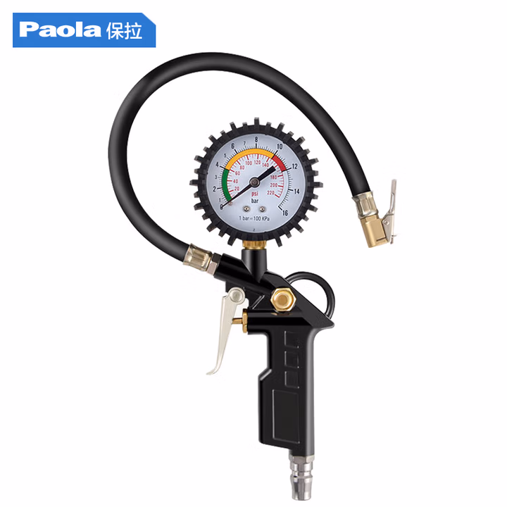 Paola/保拉 胎压表 9886