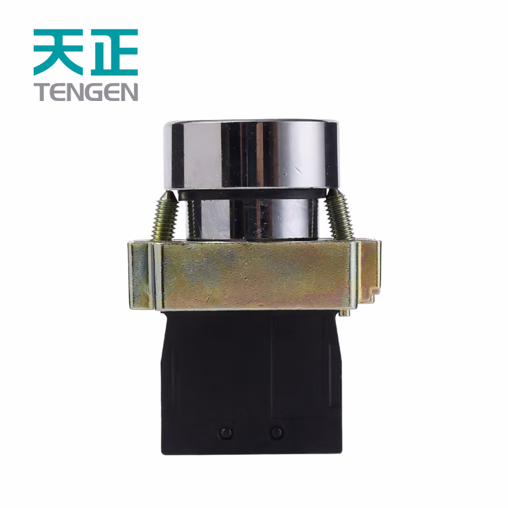 TENGEN/天正 按钮 LAY5-BW3561 24V LED灯