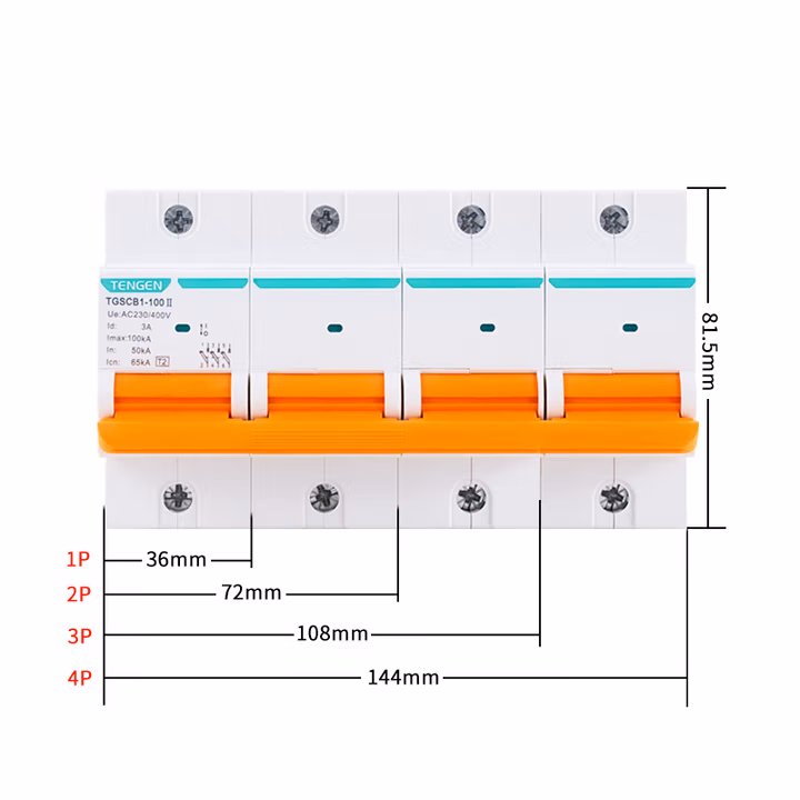 TENGEN/天正 SPD后备保护器 TGSCB1-100II 65kA 4P新