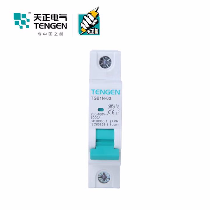 TENGEN/天正 P256型电流电压表 PD2565L3-96Y-T 5A 400V(祥云3.0)