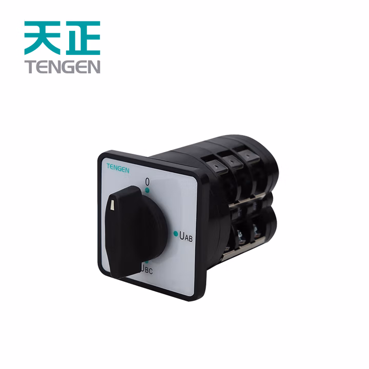 TENGEN/天正 转换开关 LW5-16 D0401/2 手动 停止 自动