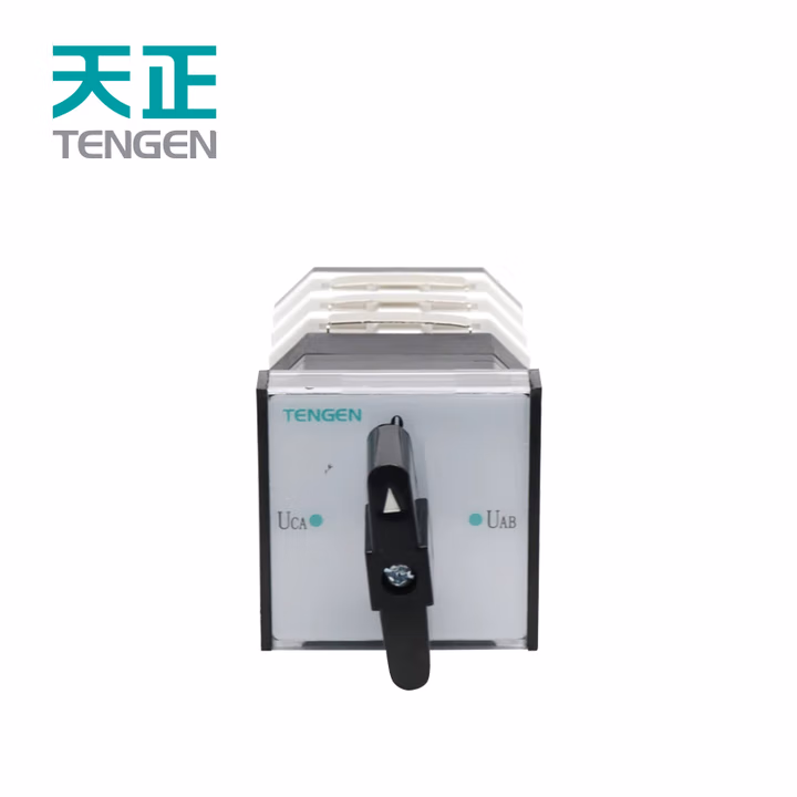 TENGEN/天正 转换开关 LW12-16 D0414/2 自动 0 手动