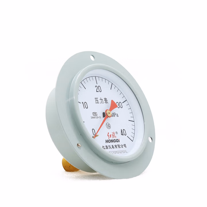 HONGQI/红旗 压力表 Y-100ZT 碳钢＋铜,轴向带边,M20×1.5,0~60MPa