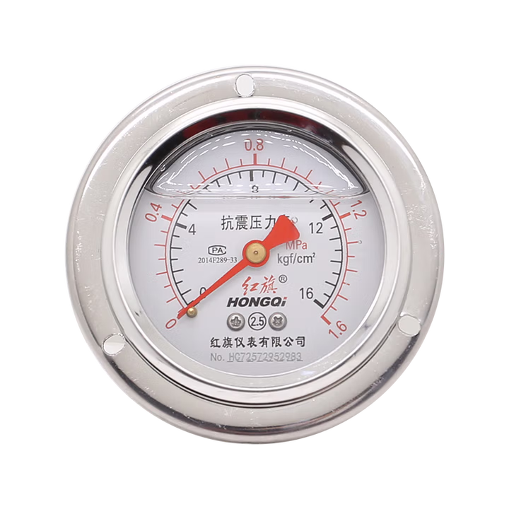 HONGQI/红旗 耐震压力表 YTN-60ZT 碳钢＋铜,轴向带边,M14×1.5,0~4.0MPa