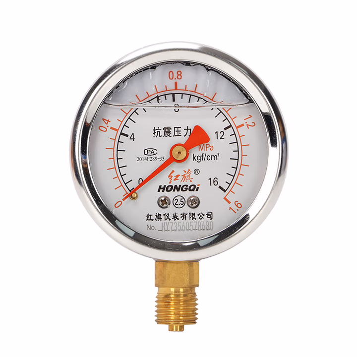 HONGQI/红旗 耐震压力表 YTN-60 碳钢＋铜,径向不带边,M14×1.5,0~10MPa