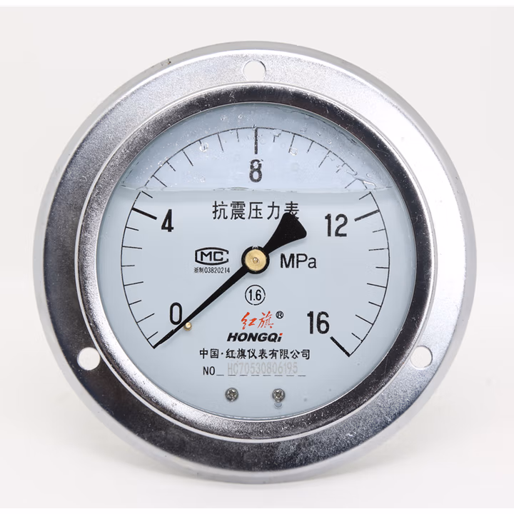HONGQI/红旗 抗震压力表 YTN-100ZT 0~1MPa,M20*1.5,1.6级,轴向带边