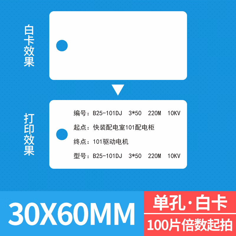 海斯迪克 HKL-265 电缆挂牌 电缆吊牌电力阀门植物PVC标牌 30×60mm 单孔空白 100张
