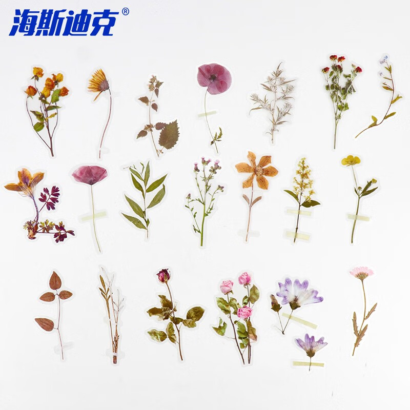 海斯迪克 HKL-103 警示标识 PET防水手账花卉贴纸贴画 TAWANY 40枚/袋 2袋