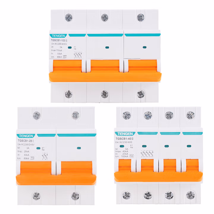 TENGEN/天正 SPD后备保护器 TGSCB1-25I 100kA 4P新