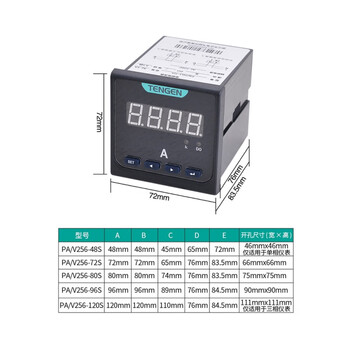 TENGEN/天正 P256型电流电压表 PA256L3-80S 5A(祥云3.0)