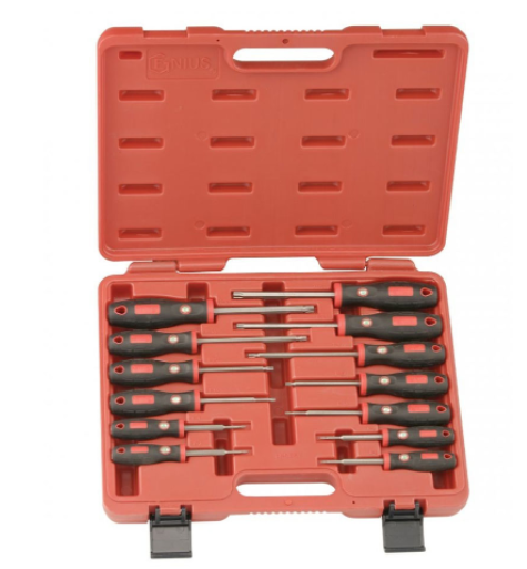 GENIUS/天赋 内星形螺丝批组（13件套） TR-513ST