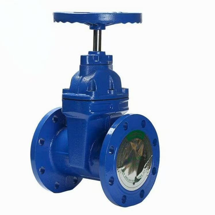 HONGKANG/宏康 暗杆铸钢闸阀 Z45X-10C-DN65