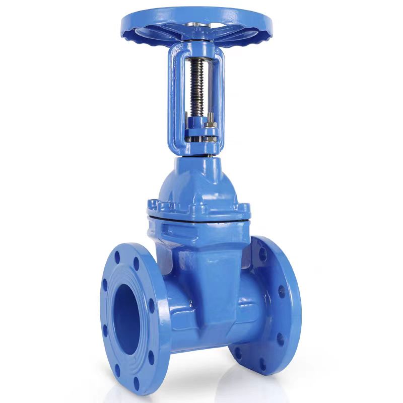 HONGKANG/宏康 明杆铸钢闸阀 Z41X-25C-DN600