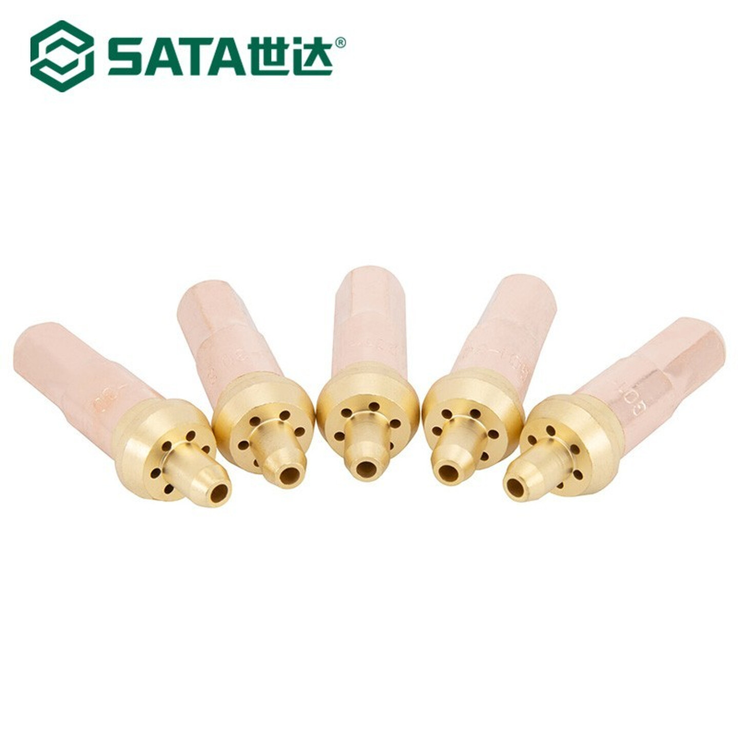 SATA/世达 5件套乙炔割嘴100型1# 31314