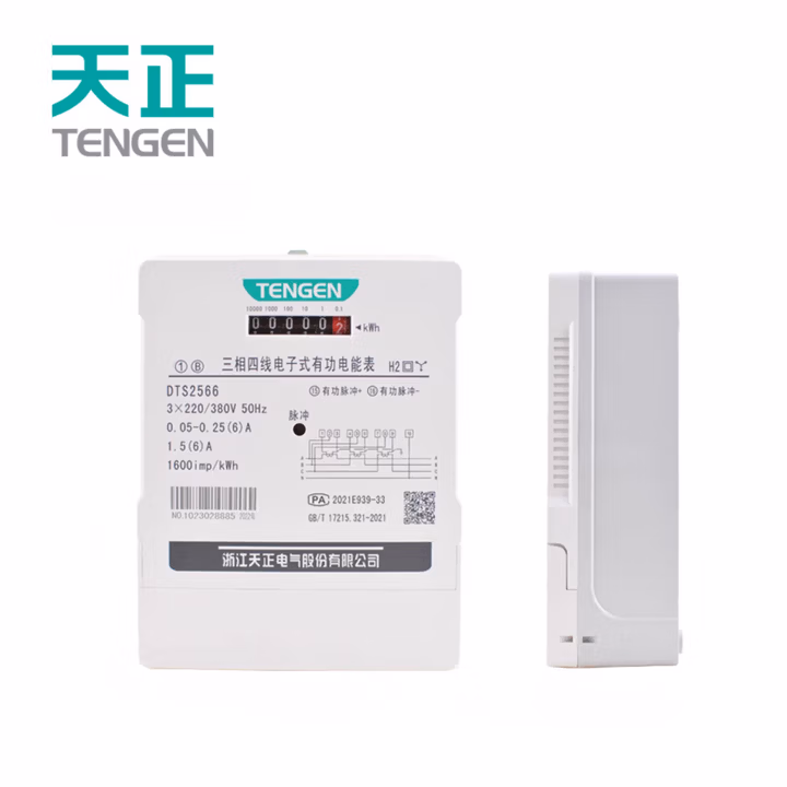 TENGEN/天正 DT系列电子表 DTS2566 3×220/380V 5(60)A 2级(祥云3.0)