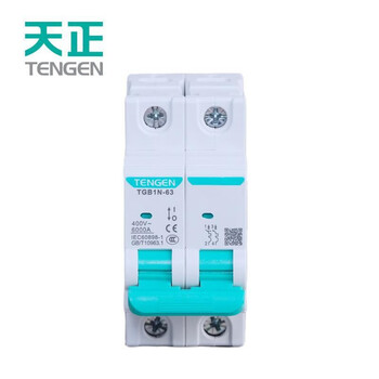 TENGEN/天正 小型漏电断路器 TGB1NLE-63Y 2P C20 10mA(祥云3.0)