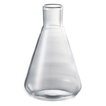 ASONE/亚速旺 石英三角烧瓶 SJF-300(1个)，C3-6738-04 C3-6738-04