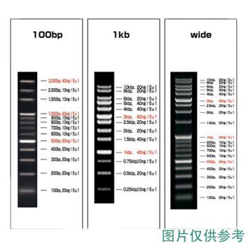 ASONE/亚速旺 DNA分子大小梯度标记条(可常温保存) VIO-1kb-5(5条箱) 2-9883-04 VIO-1kb-5