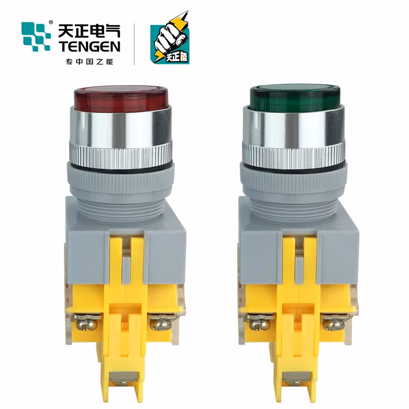 TENGEN/天正 按钮 LAY7-11DN/220V 带灯 (黄)