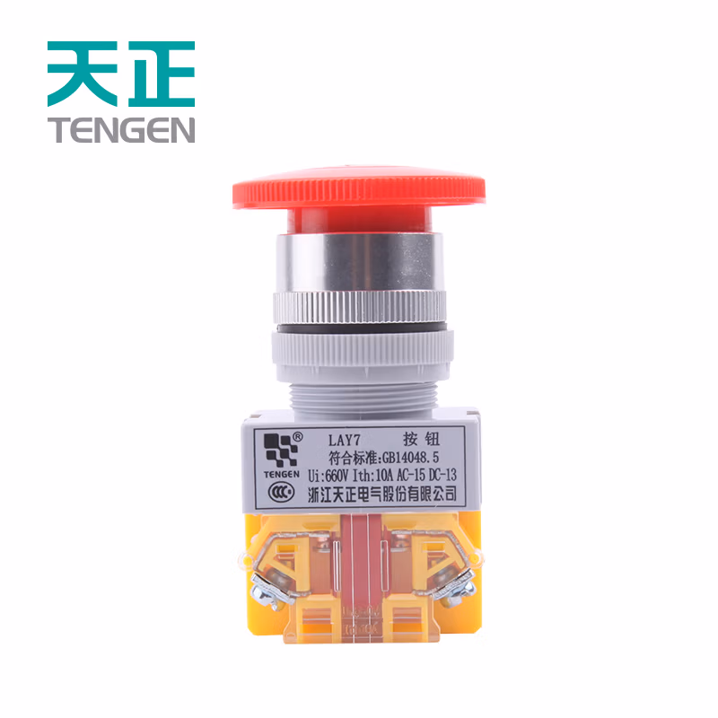 TENGEN/天正 按钮 LAY7-20DZS 带灯自锁 红24V LED灯