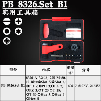 PB SWISS TOOLS/ 瑞铂 刻度式可调节大扭矩套装 3.2-16.0N.m PB 8326.Set B1