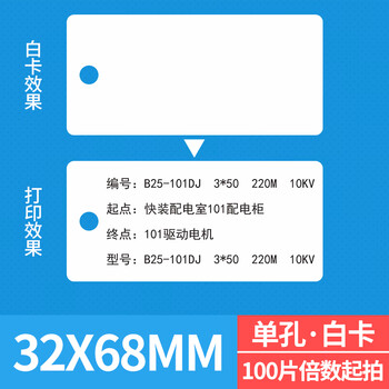海斯迪克 HKL-265 电缆挂牌 电缆吊牌电力阀门植物PVC标牌 32×68mm 单孔空白 100张