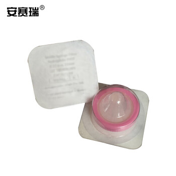 安赛瑞 针头过滤器 一次性针式过滤器 针头 针式 滤膜 过滤头 灭菌 PVDF 33mm×0.22um 10个 （包） 601331