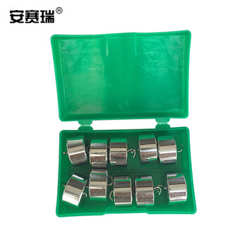 安赛瑞 金属钩码 50g*10 杠杆原理 力学实验仪器 （个） 610133