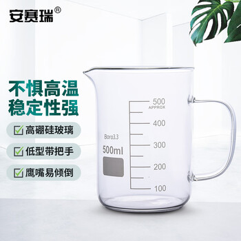 安赛瑞 玻璃带把烧杯(2只装)500ml(盒) 600060