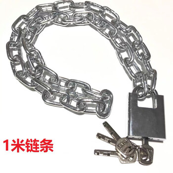 铮焱 防剪切链条挂锁(链条直径6mm) ZY-ZLB4100